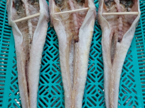 반건조장대(양태) 3마리   반건조생선 장대양태 생선구이 생선찜 생선조림