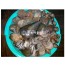 조개해물탕(조개찜)모듬세트2호 (5-6인분)  조개탕 조개찜 조개해물찜 조개해물탕
