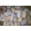 통바지락(생바지락) 1.5kg 생조개 살아있는조개 바지락된장국 조갯국 조개해물요리