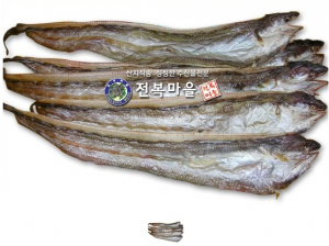 말린바다장어(반건장어)[대] 500g  붕장어탕 장어매운탕 바다장어구이 장어찜 바다장어효능 바다장어의효능