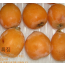 비파열매(대)[과일용]1kg (25~30과) [예약주문상품] [6월중순이후배송]
