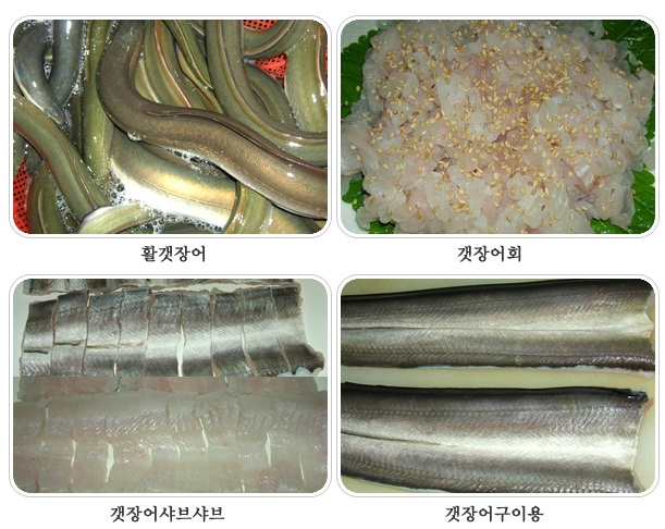 갯장어샤브(하모샤브)(유비끼) 1kg  (최상급갯장어) 바다장어 장어탕 여름보양식 스테미너식품