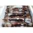생물오징어(선동오징어) 3마리  오징어 생오징어 냉동오징어 오징어찜 오징어구이 오징어효능 오징어이효능