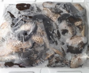 황소개구리(냉동) 4kg*1박스  개구리,황소개구리,식용개구리,개구리보양식,개구리중탕,개구리보약,개구리효능