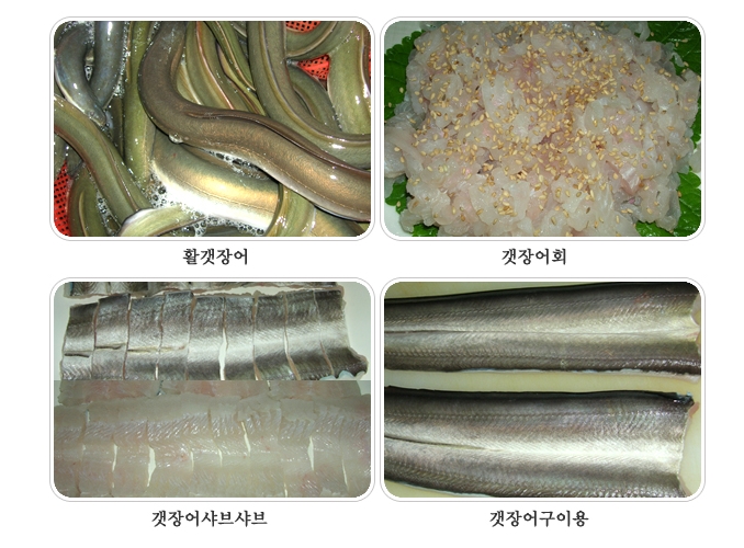 갯장어구이(하모구이) 2kg  (최상급갯장어) 바다장어 장어구이 장어탕 여름보양식 스테미너식품