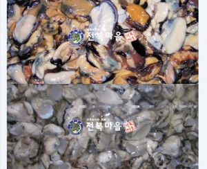 생굴1kg + 생홍합살1kg (2종해물세트) 해물파전재료 해물탕 생굴요리 홍합요리 해물파전 해물요리