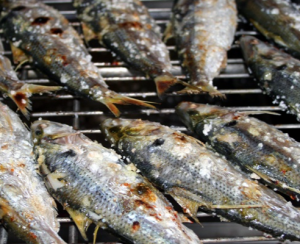 자연산전어(구이용) 500g(6-7마리)   가을전어 전어회 전어철 생선회 전어구이 전어축제
