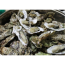 생굴하프셀(반각굴) (130-150개)1박스   석화 석굴  굴구이 굴찜 굴요리