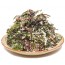 염장해초모듬(모듬해초)5kg(50~60인분)   염장해초 해초모둠 모둠해초 해초샐러드 해초셀러드  해초비빔밥 해초쌈 해초요리