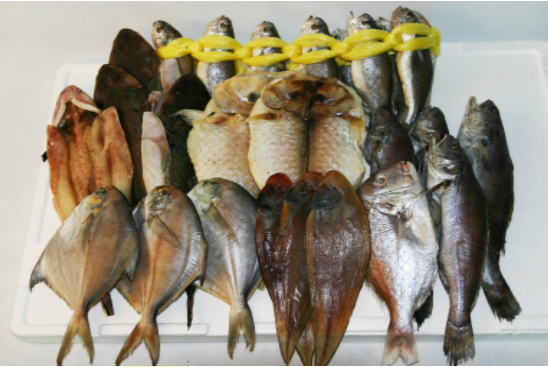 고급생선세트(생선선물세트) 1호    생선,고급생선,생선선물,생선선물세트,이바지생선,제찬생선[예약주문상품]