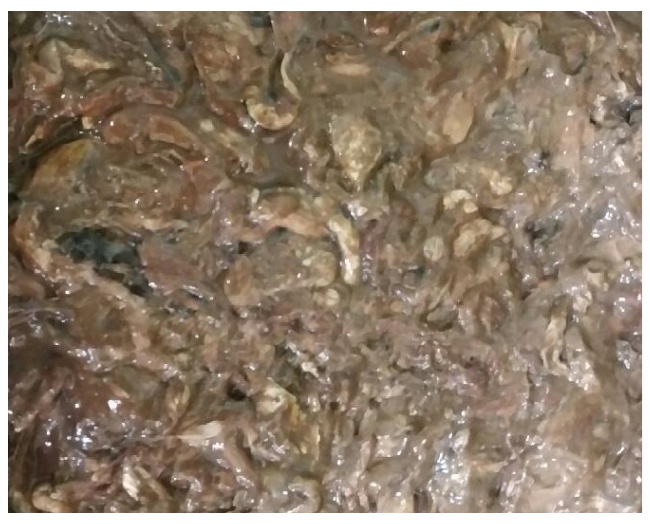 갈치속절임[특산품]1kg   갈치속 갈치창 갈치속젓 갈치창젓 갈치액젓  갈치속젓갈 갈치젓 갈치젓갈