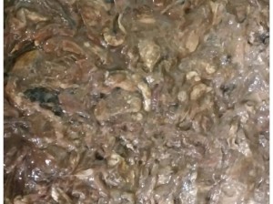 갈치속절임[특산품]2kg 갈치속 갈치창 갈치속젓 갈치창젓 갈치액젓  갈치속젓갈 갈치젓 갈치젓갈