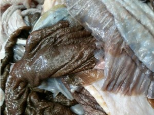 홍어껍질(콜라겐식품) 1kg   홍어묵 홍어껍질묵