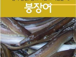 자연산바다장어[대](장어탕용)1kg   붕장어탕 장어매운탕 바다장어구이 장어찜 바다장어효능 바다장어의효능