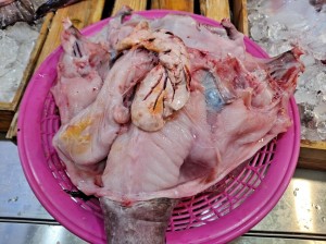 생아구(생아귀) 15kg (5-6마리내외) 아구찜 아구탕 아귀요리 (조업당일발송상품)