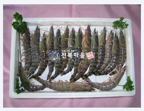 자연산 오도리새우(보리새우)1kg (40-50마리내외)  활새우 회로먹는새우(예약주문상품)(별도배송상품)