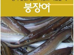 자연산바다장어[대](탕용) 1kg  붕장어탕 장어매운탕 바다장어구이 장어찜 바다장어효능 바다장어의효능
