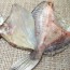 반건조 달병어(말린달병어) (2~3마리)(약750g내외)  달병어찜 달병어구이 달병어조림 달고기요리