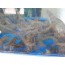 회로먹는 새우 활새우 (살아있는새우) 2kg  (50-70마리내외)   (계절한정판매) 활새우 대하 왕새우 회로먹는새우 새우회 [별도배송상품]