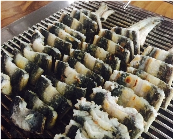 양식산민물장어(자포니카장어) 1kg  장어보양식 장어중탕 장어즙 민물장어요리
