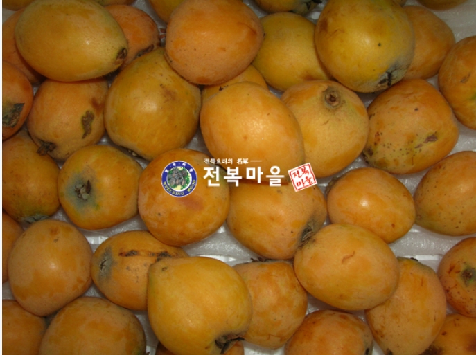 비파열매(중)2kg  (비파효소,비파술용)[예약주문상품] 비파 비파나무 비파열매 비파주술 비파효소 비파효능 비파의효능(6월중순이후일괄배송)