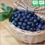 친환경 생블루베리 5kg (2019년산)(예약주문판매) 블루베리,블루배리,친환경블루베리,무농약블루베리,블루베리주스,블루베리즙