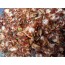 국산 조개살무침(양념조개살) 500g  (계절한정판매) 조개살,조갯살,바지락살,조개젓,국산조개젓,조개살젓
