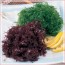 염장고장초(적색)1kg   빨강해초 적색해초 해초샐러드 해초비빔밥 해초쌈 해초요리