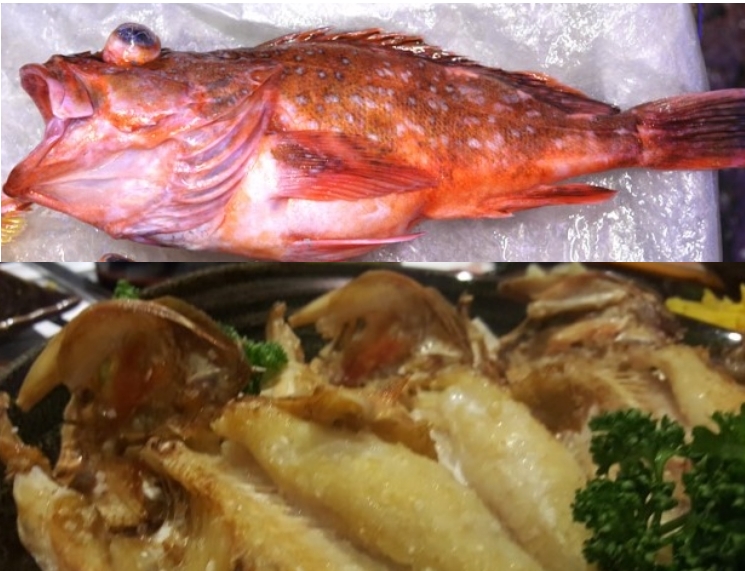 말린쏨뱅이(쏨팽이)[대]1kg(4마리내외)   쏨뱅이,쏨팽이,생선,열기어,불볼락,쏨뱅이매운탕,[예약주문상품]