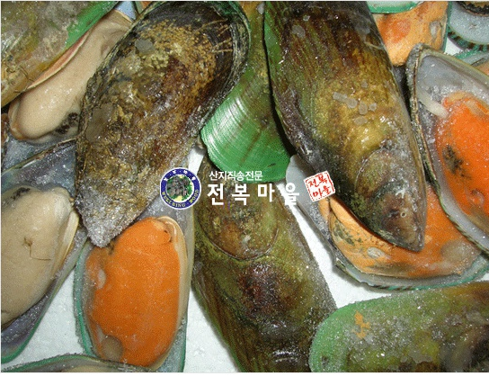 그린홍합(초록입홍합) 800g   초록홍합 홍합탕 홍합찜 홍합요리 관절홍합