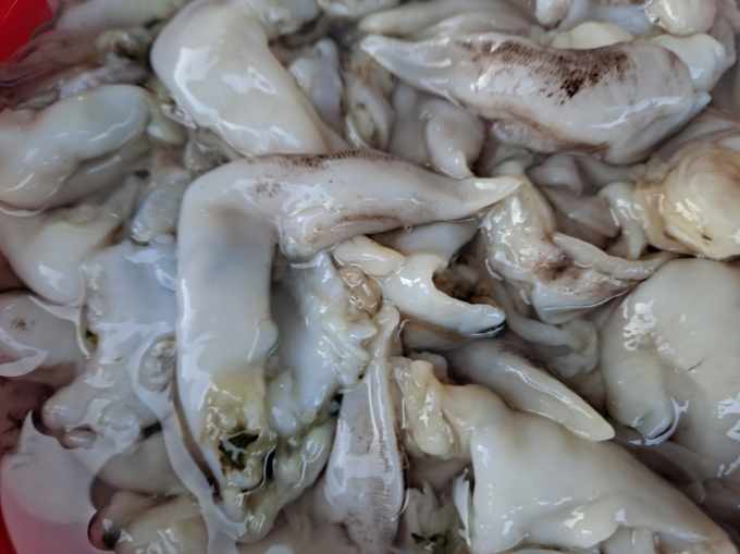 새조개(통조개) 1kg (10마리내외)  [★겨울철별미인기] 새조개샤브샤브 새조개회 조개해물탕